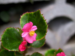 a0138048_18512654.jpg