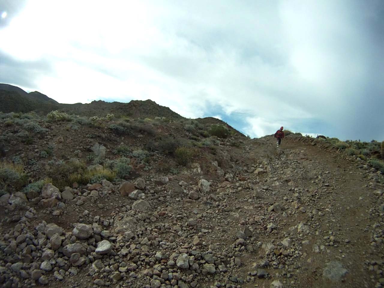 c0198263_2521285.jpg
