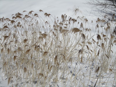 b0227568_20533674.jpg