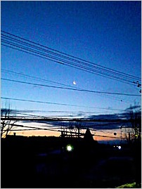a0050669_22465721.jpg
