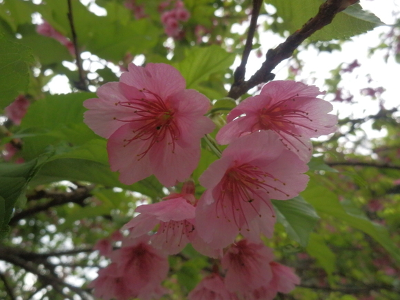 c0042869_22252412.jpg