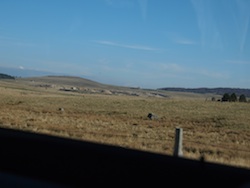 d0041074_12225899.jpg