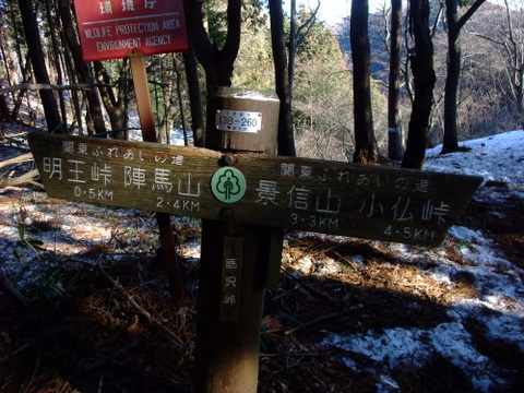 a0043982_1551155.jpg