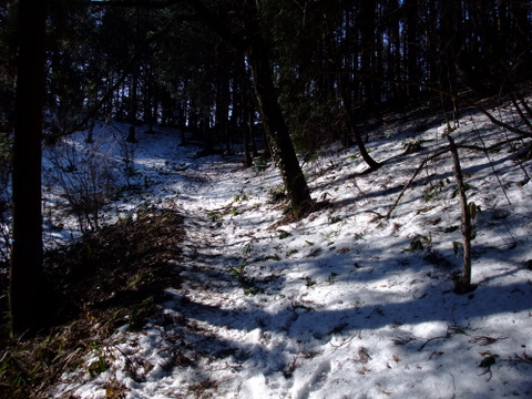 a0043982_15512416.jpg