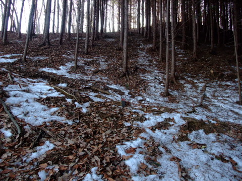a0043982_15513348.jpg