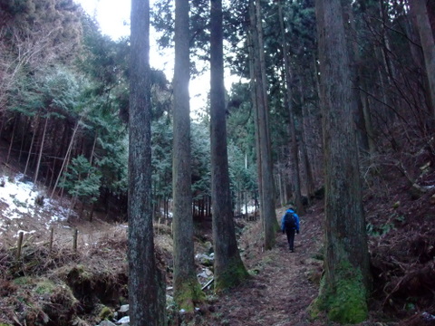 a0043982_15514549.jpg