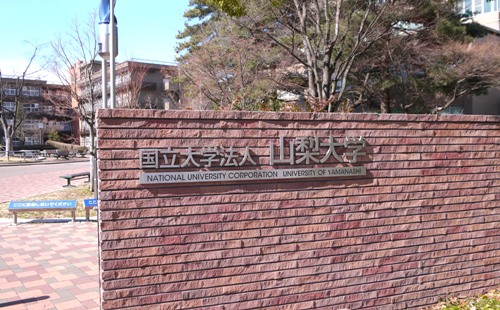 a0254684_1665368.jpg