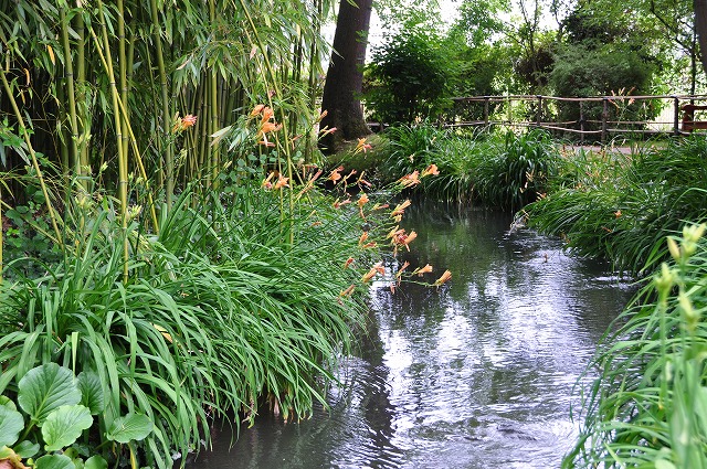 c0240388_1729495.jpg
