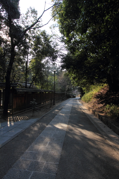 e0051888_7531060.jpg