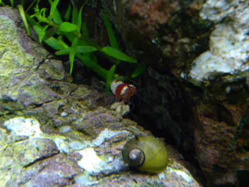 f0138093_092711.jpg