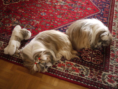 c0090198_6241137.jpg
