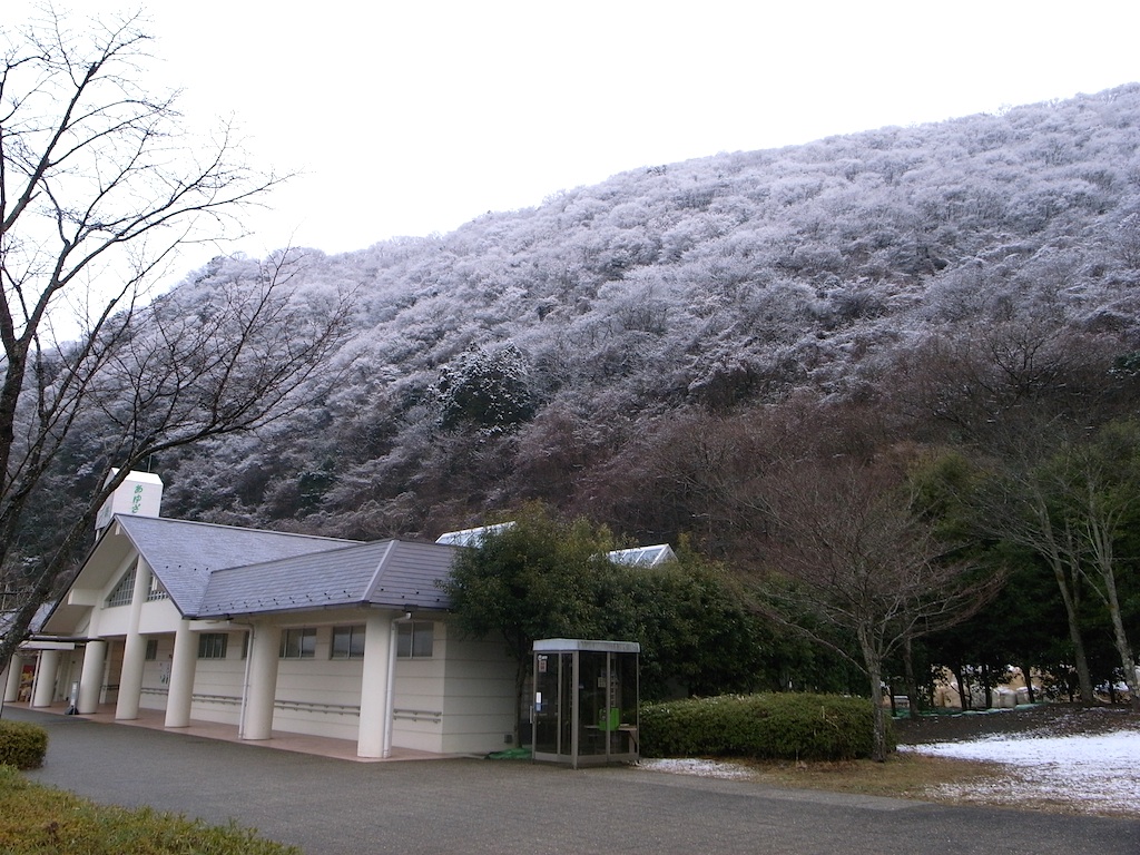 f0108399_20595180.jpg