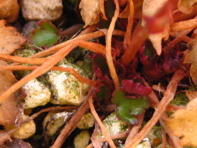 f0236201_8391477.jpg