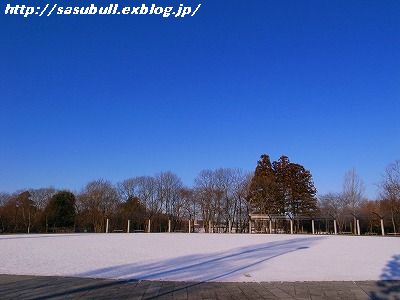 e0145805_1811616.jpg
