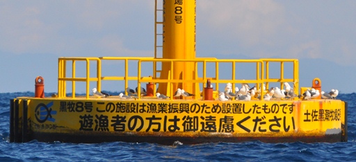 f0048405_10471748.jpg