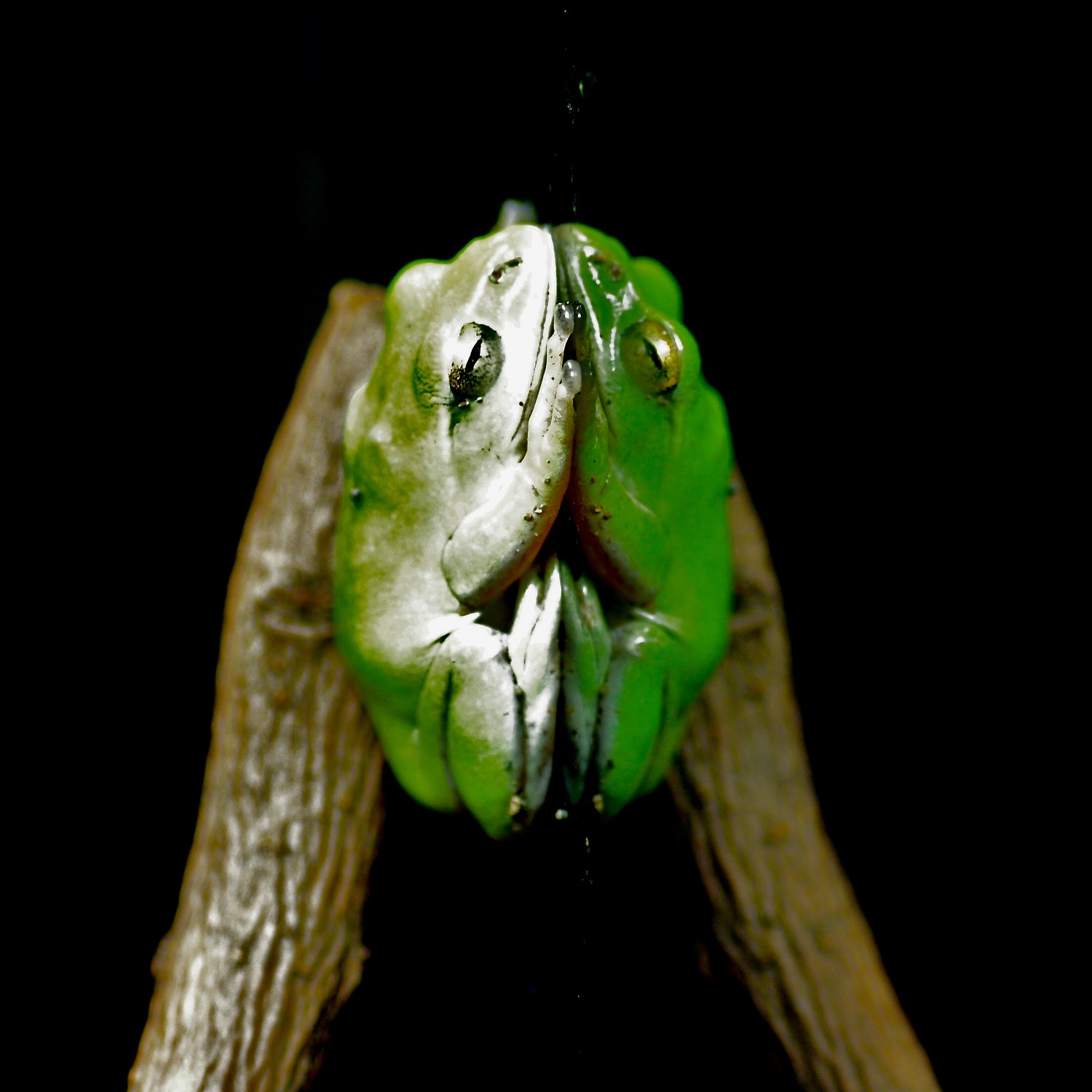 e0142611_21101117.jpg
