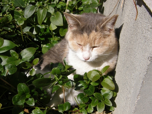 c0158916_173913.jpg