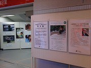 f0191517_1329246.jpg