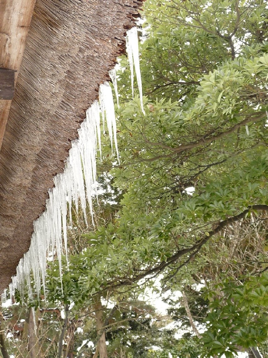 e0135219_14294520.jpg