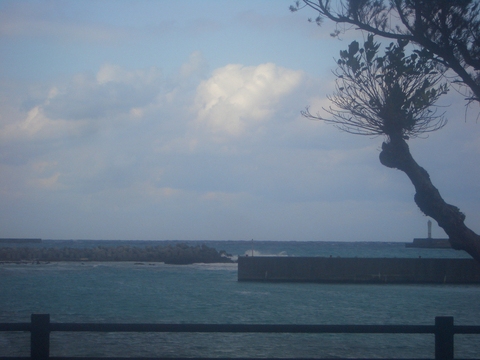 f0197325_758945.jpg