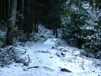 c0108034_3301283.jpg