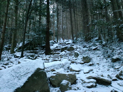 c0108034_3302095.jpg