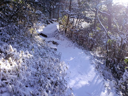 c0108034_3305825.jpg
