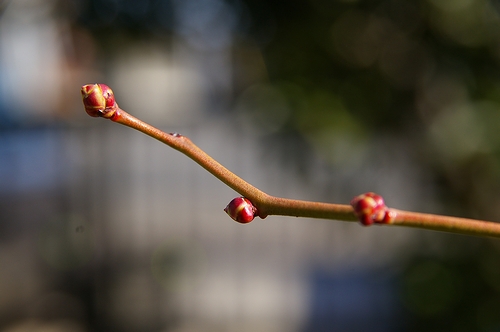 a0034438_1712987.jpg