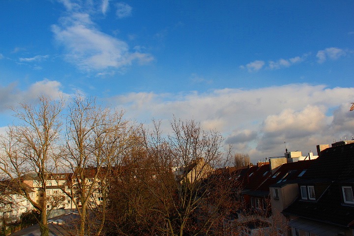 c0153740_27247.jpg