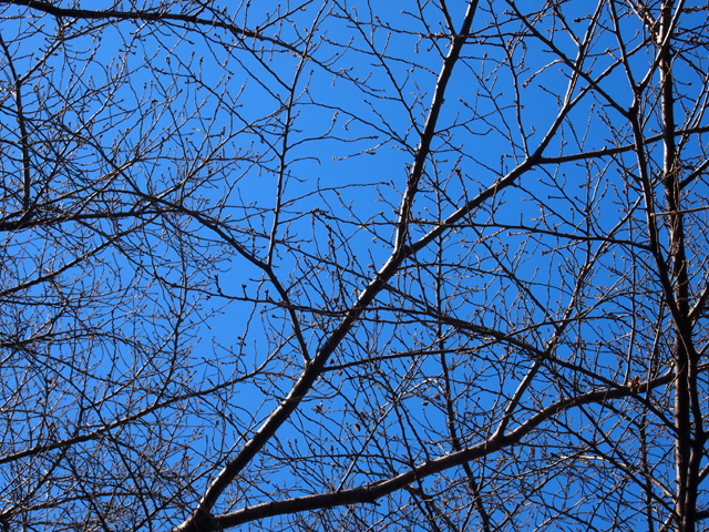 a0157646_14161870.jpg