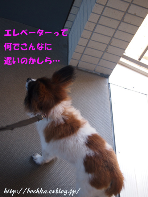 a0157646_14164577.jpg