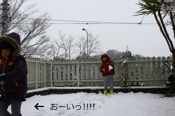 a0090451_1525327.jpg