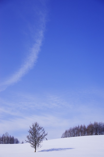 c0199552_22302827.jpg