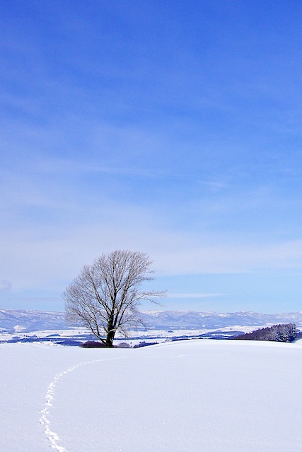 c0199552_22324261.jpg