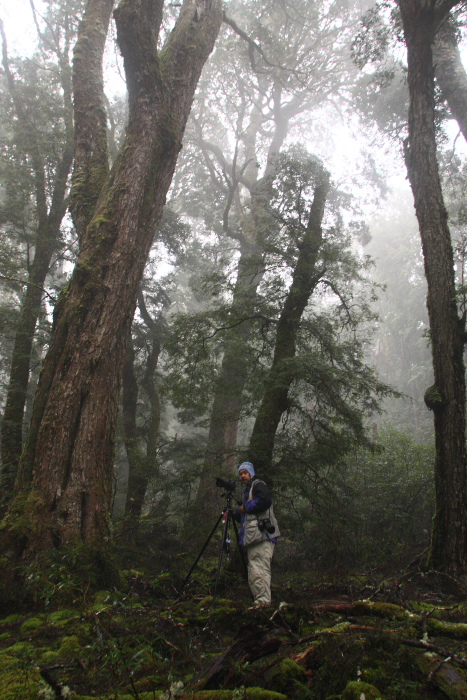 f0137354_2033785.jpg