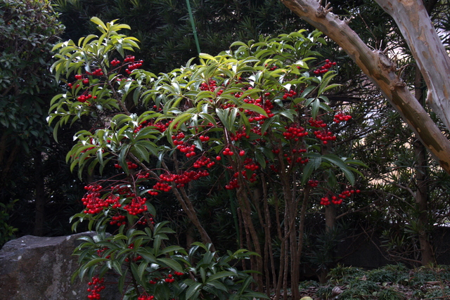 d0244960_13135625.jpg