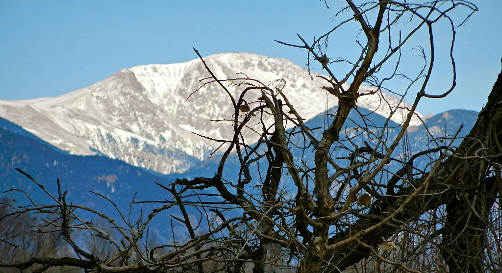 b0207361_2414358.jpg