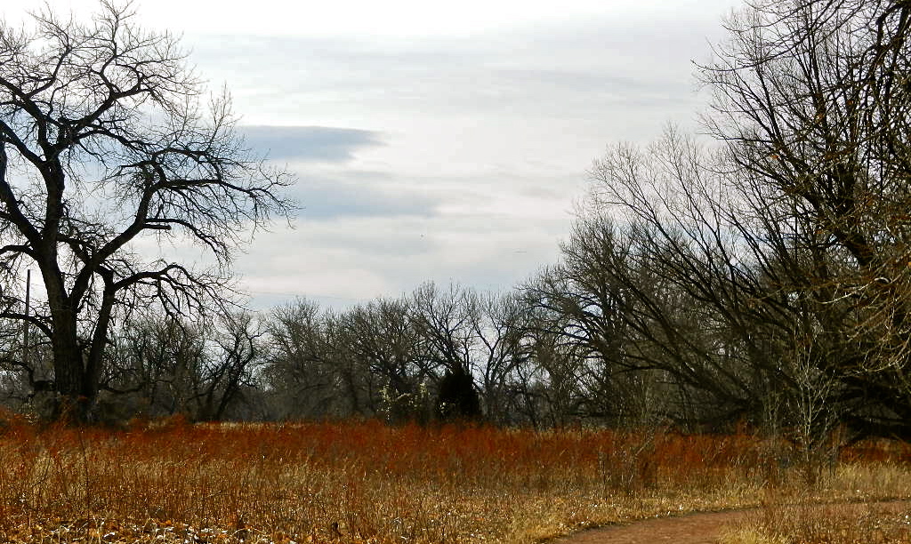 b0207361_2463872.jpg