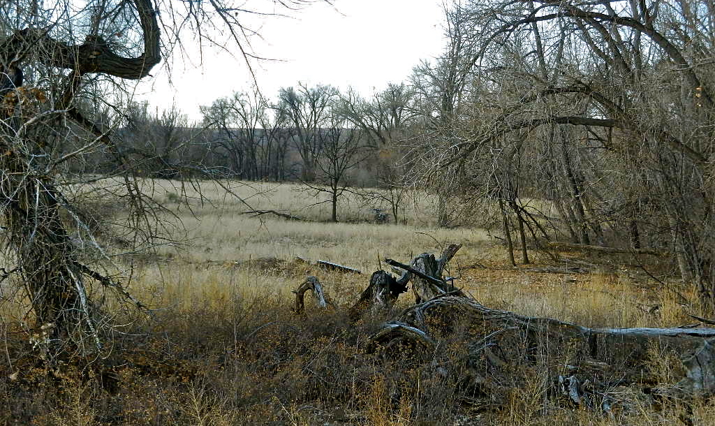 b0207361_2493454.jpg
