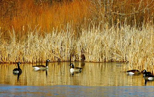b0207361_253235.jpg