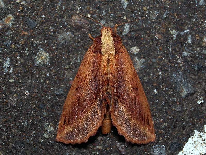 b0130166_20245445.jpg