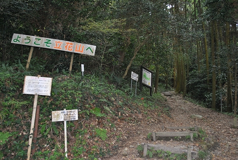 c0099967_295444.jpg