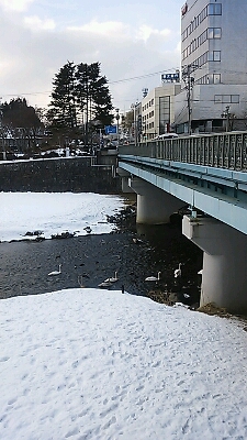 a0038370_22595243.jpg