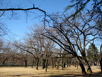 c0235678_1646860.jpg