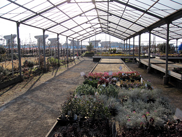 c0235678_181251.jpg