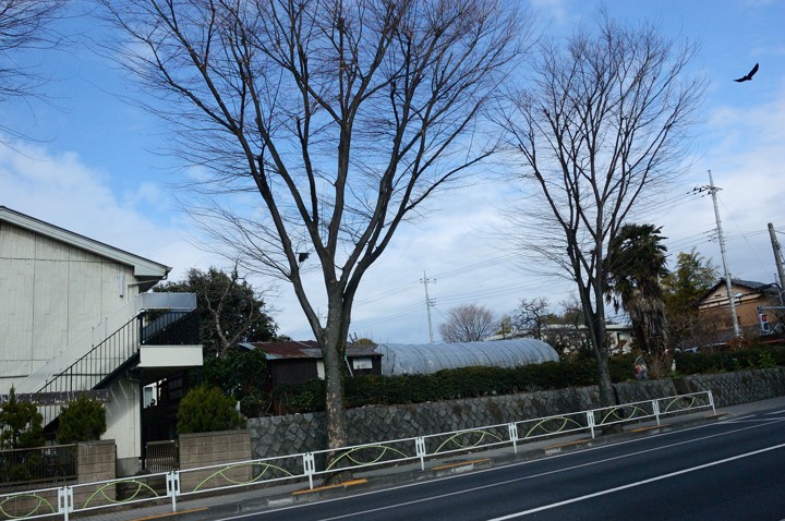 b0102780_12105799.jpg