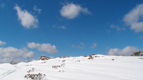 e0024081_19302076.jpg