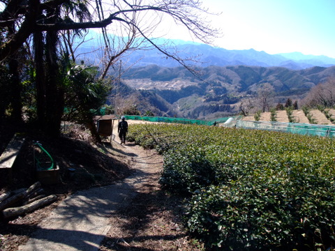 a0043982_2012574.jpg