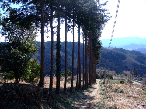 a0043982_20135042.jpg