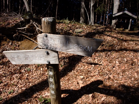 a0043982_2014010.jpg